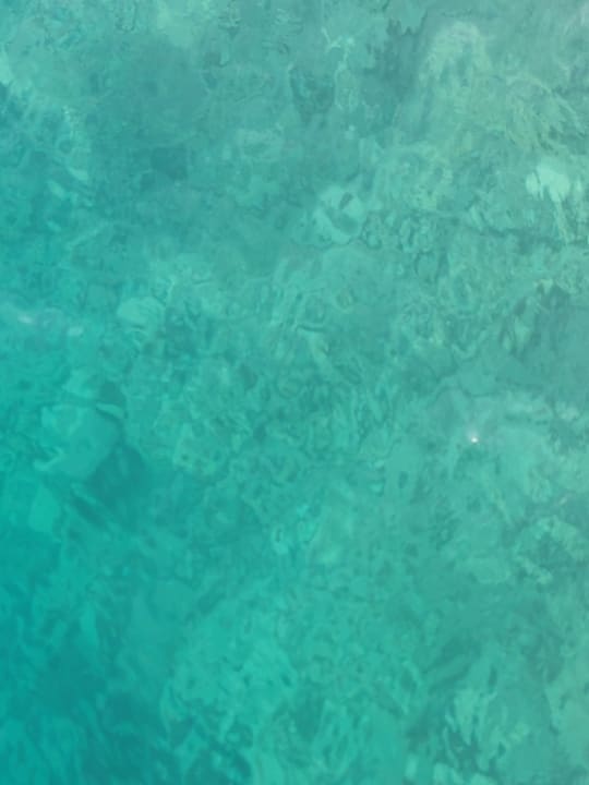 Strand The Grand Palace - Adults only