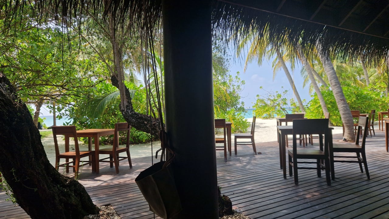 Gastro Summer Island Maldives