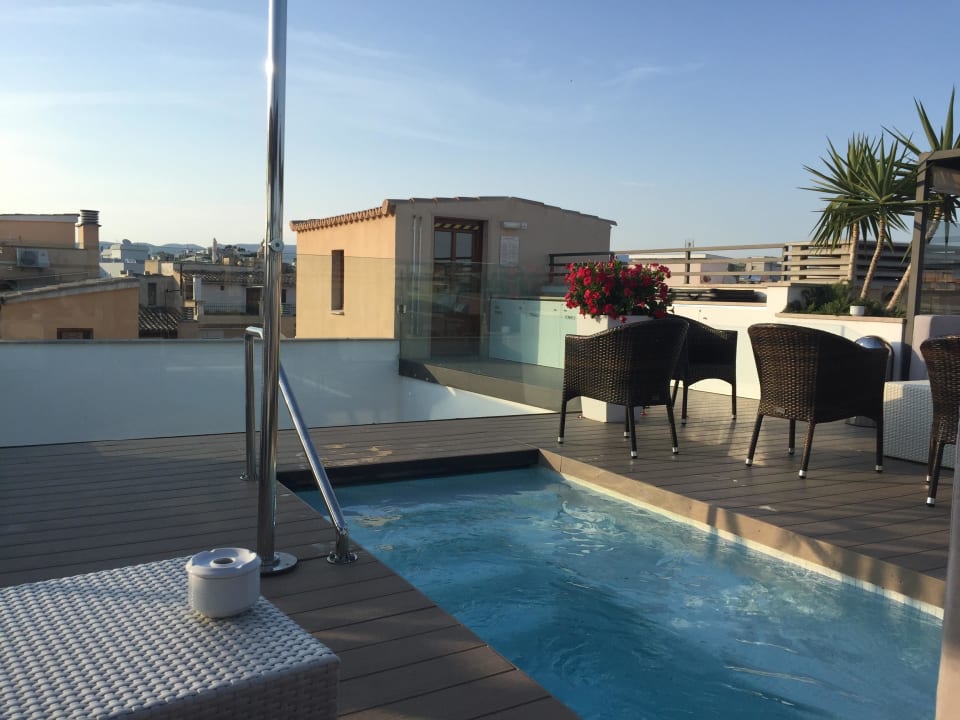 Dachpool Hotel Palma Suites