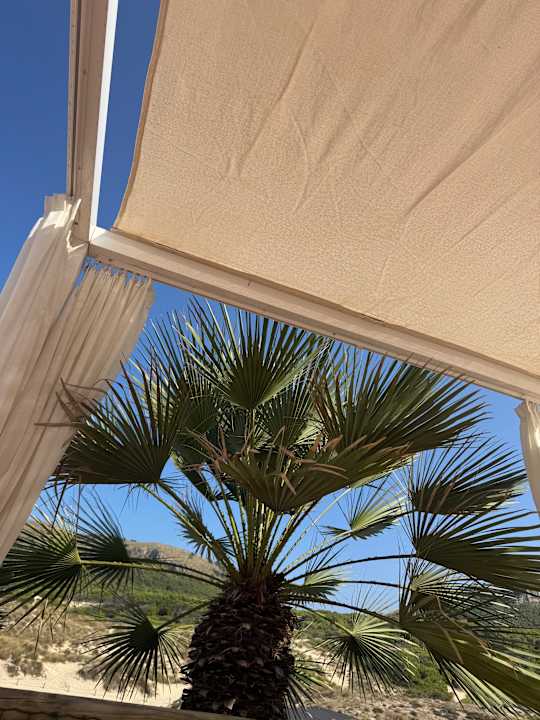 Gartenanlage VIVA Cala Mesquida Resort & Spa