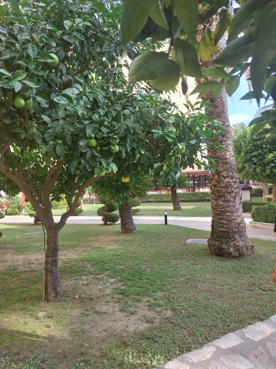 Gartenanlage Miramare Queen Hotel