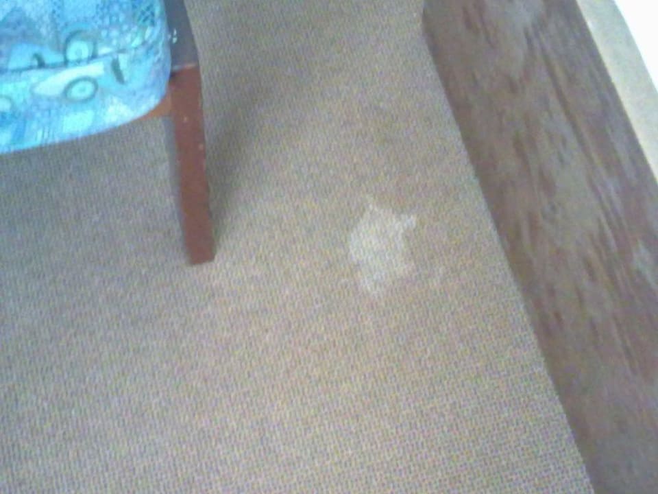 Undefinierbarer Fleck auf Teppichboden vor Bett Hotel Nevada Hamburg