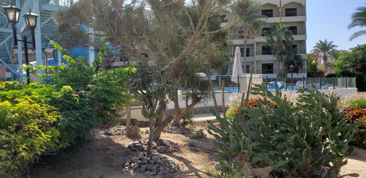 Gartenanlage Regina Resort and Aqua Park Hurghada