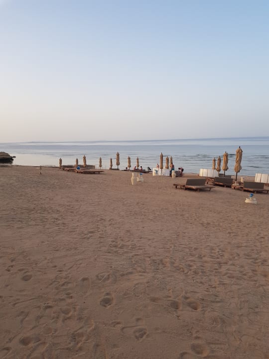 Strand Serenity Alpha Beach