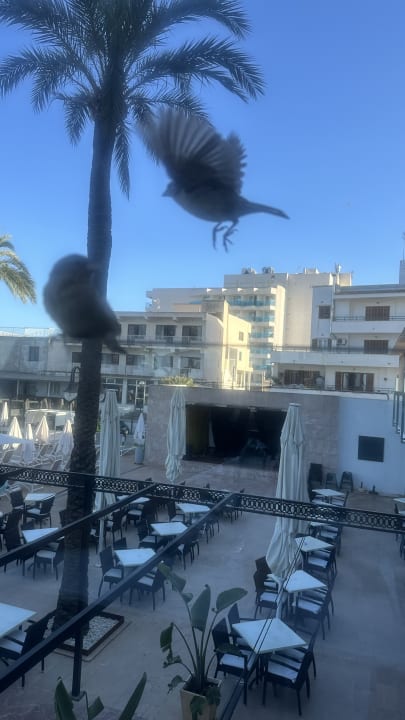 Sonstiges CM Playa del Moro