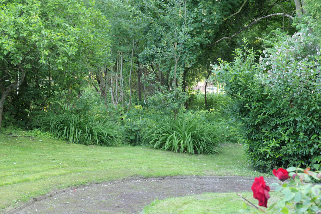 Gartenanlage Architektenhaus am Pewsumer Tief