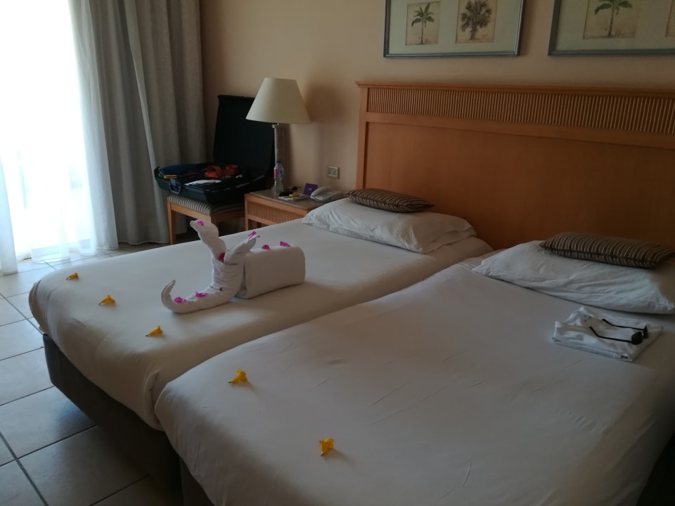 Zimmer Hotel JAZ Makadi Star & Spa