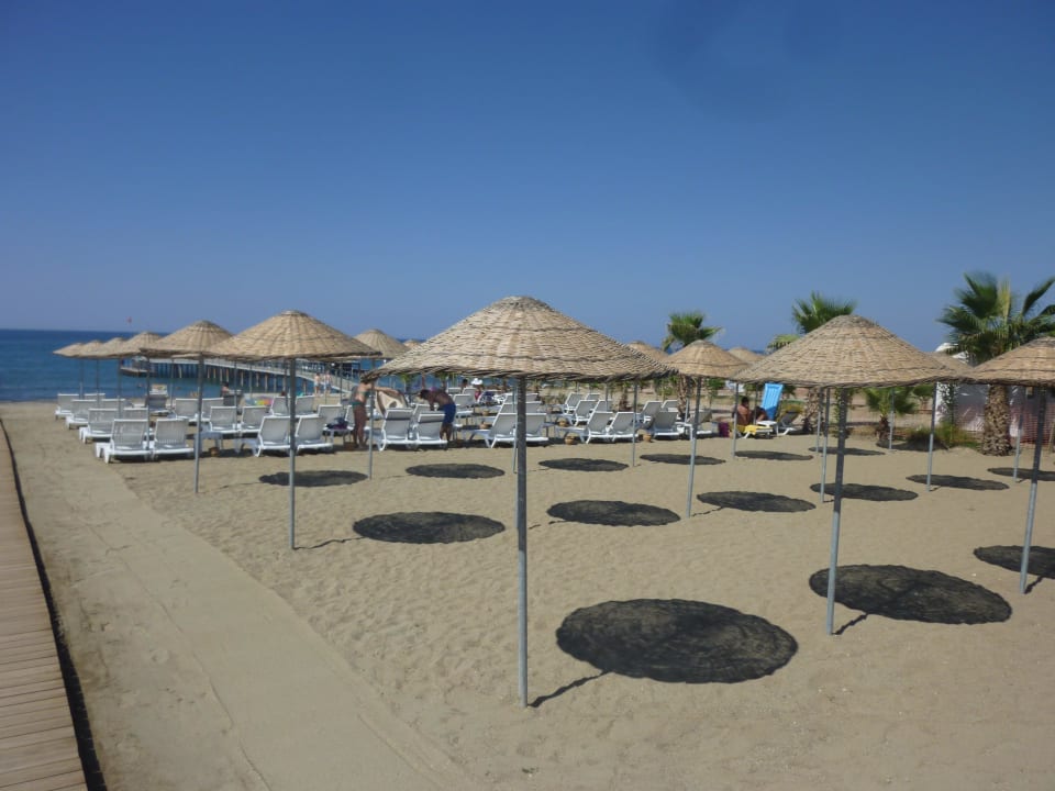 Immer viel Platz am Strand Dizalya Palm Garden