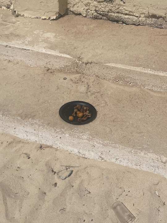 Gartenanlage Hotel Riu Oliva Beach - Hotel