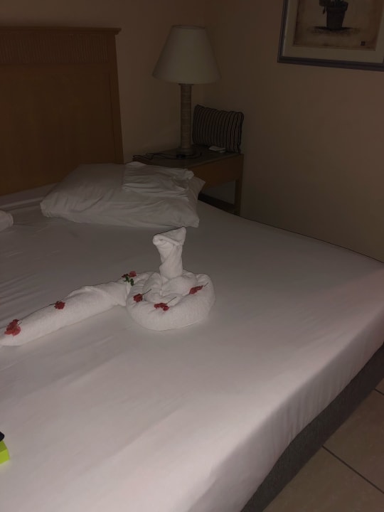 Zimmer Hotel JAZ Makadi Star & Spa