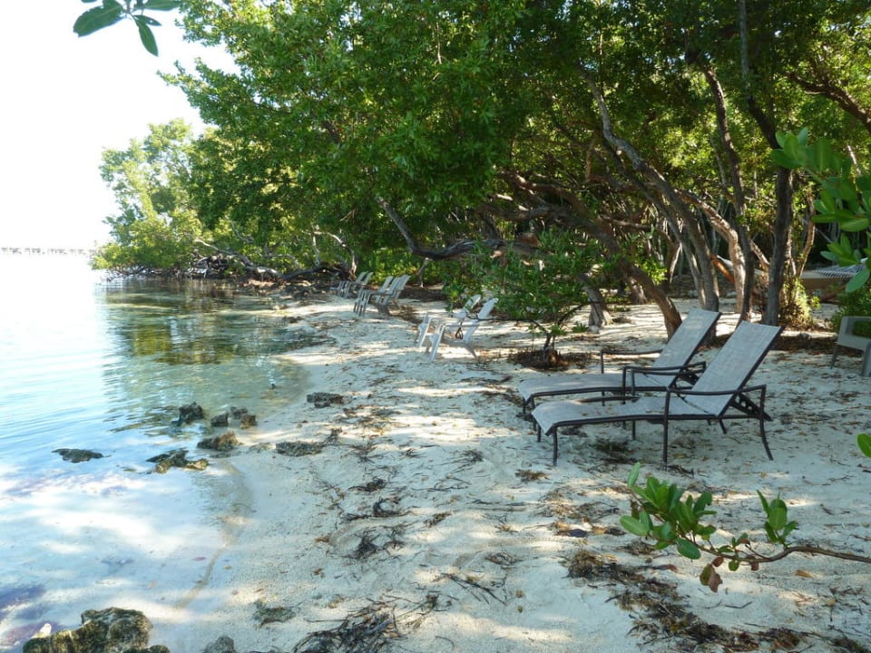 Kleine Badestrände im Naturgarten Hotel Hilton Key Largo Grande Resort