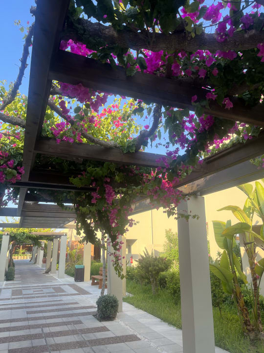 Gartenanlage Astir Odysseus Kos Resort & Spa