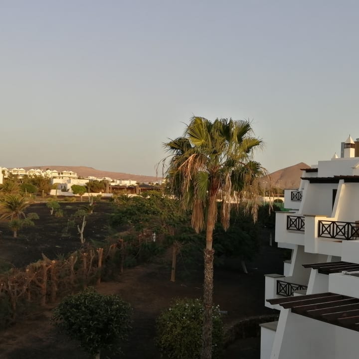 Ausblick allsun App.-Hotel Albatros