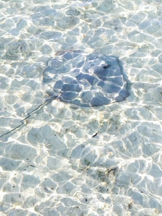 Strand Casa Mare Resort