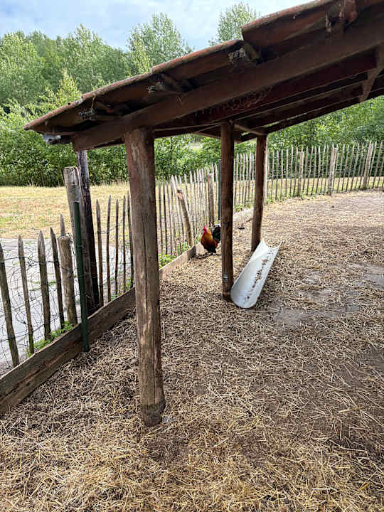 Sport & Freizeit Oostappen Vakantiepark Marina Beach