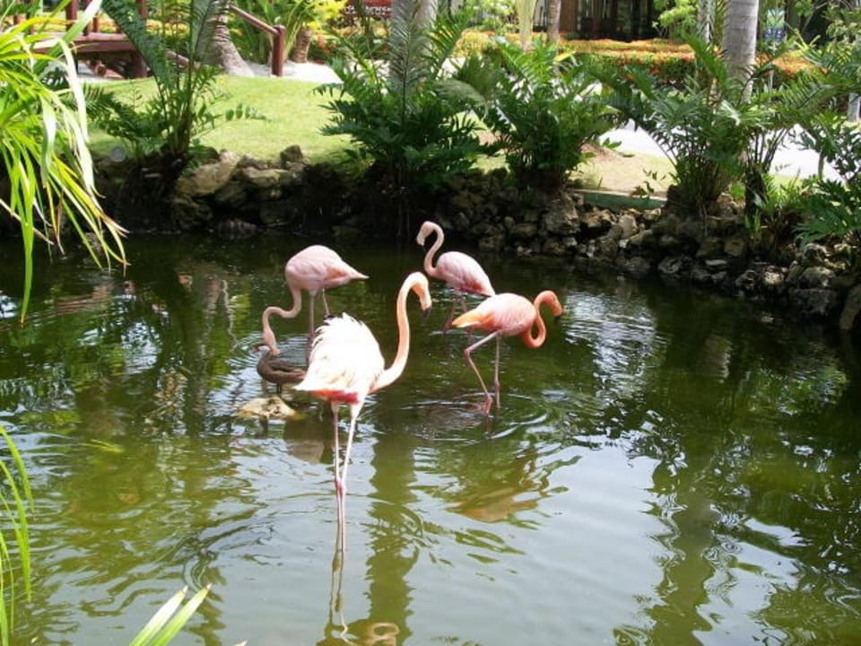 Strażnicy lobby Hotel Grand Palladium Palace Resort, Spa & Casino