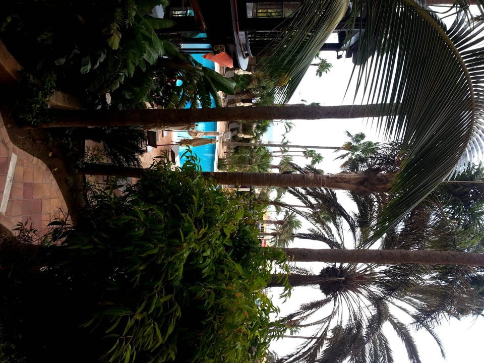 Wunderschöner Ausblick - 1.Stock auf den Pool Corallium Dunamar by Lopesan Hotels