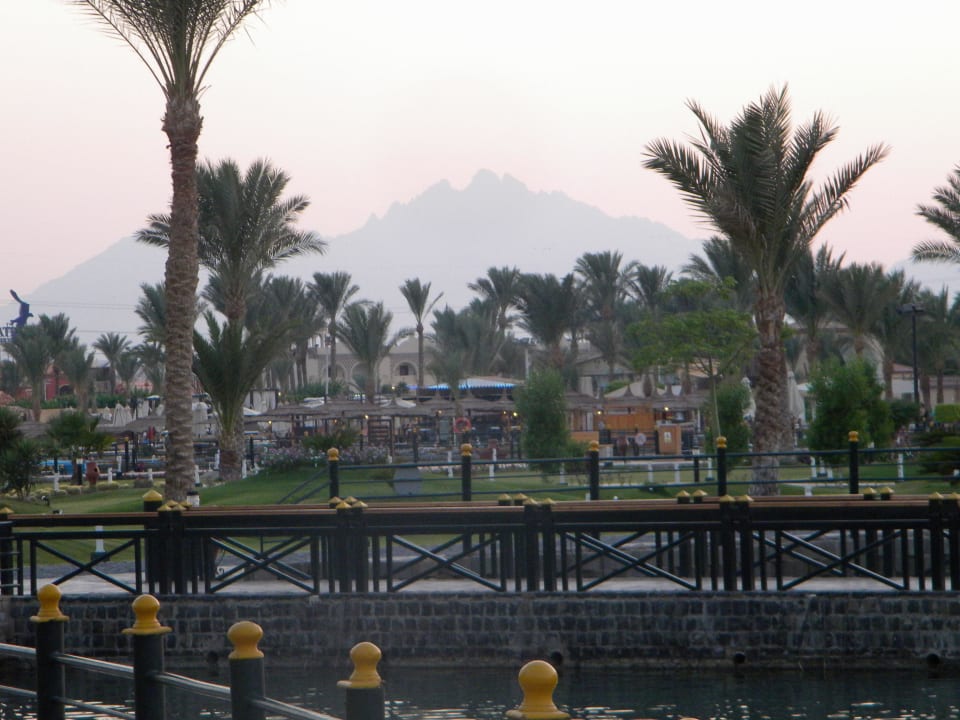 Garten Pickalbatros Dana Beach Resort - Hurghada