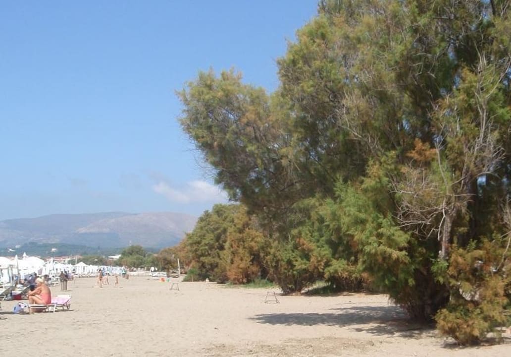 Nester am Strand Domes Aulūs Zante, Autograph Collection