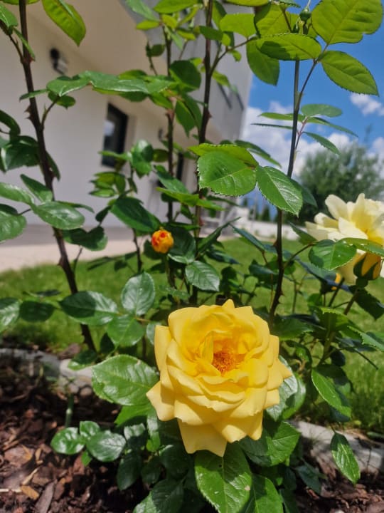 Gartenanlage Apartment Bergblick