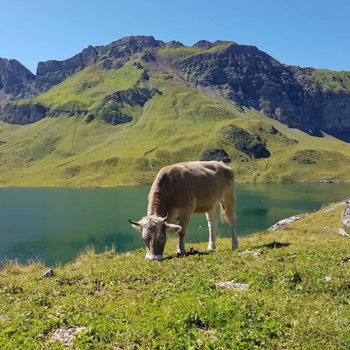 Sonstiges Frutt Mountain Resort
