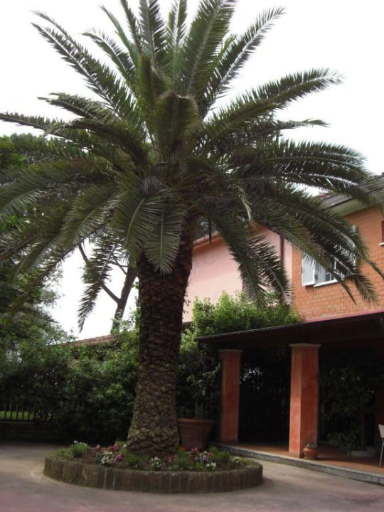 Hof Agriturismo Mancin