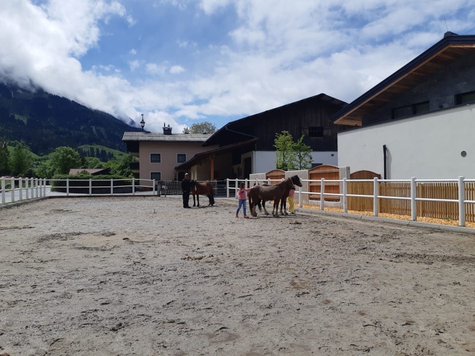 Gartenanlage Lerchs Landhotel