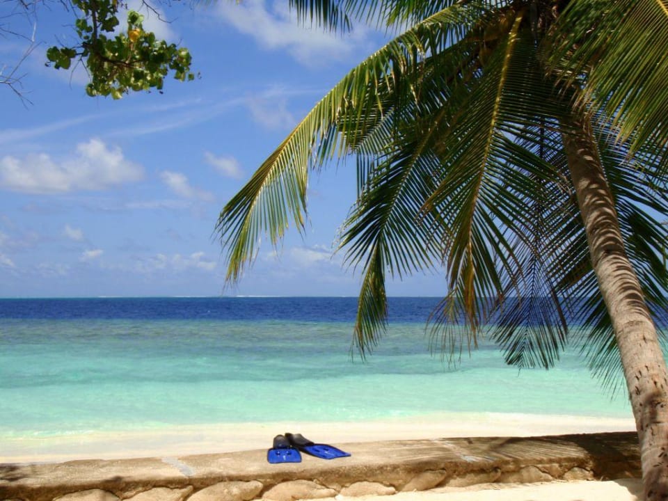 Blick aus Bungalow 74 Embudu Village