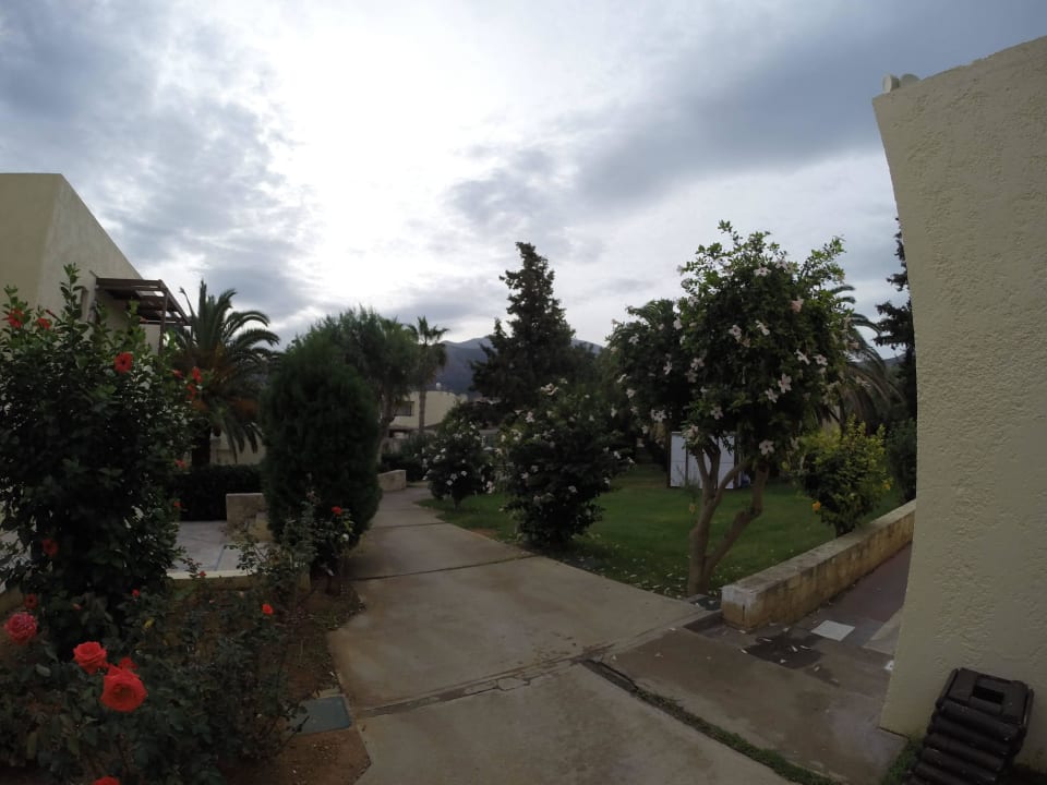 Weg vorbei an 302 bis 318 Phãea Cretan Malia