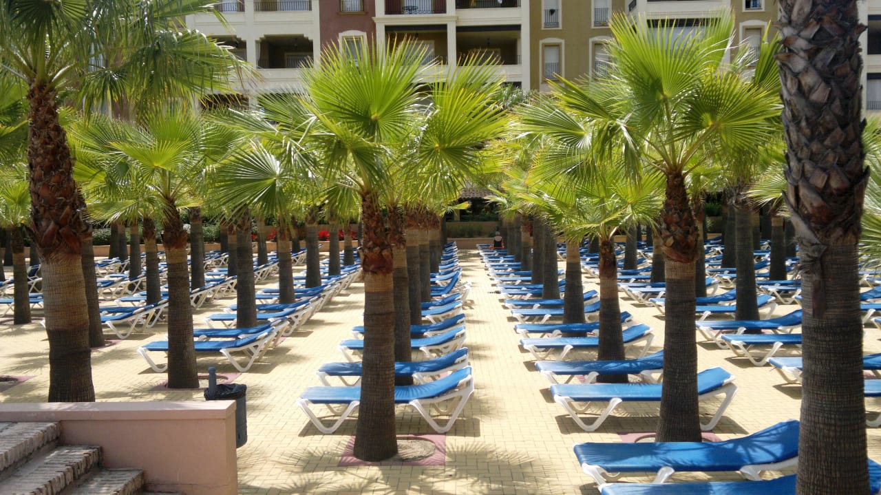 Aussenanlage vor dem Pool Playacanela Hotel