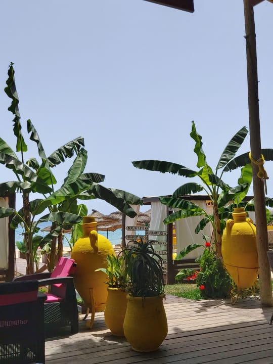 Strand Hotel Royal Nozha