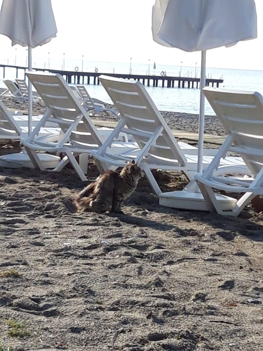 Strand Labranda Alantur Resort