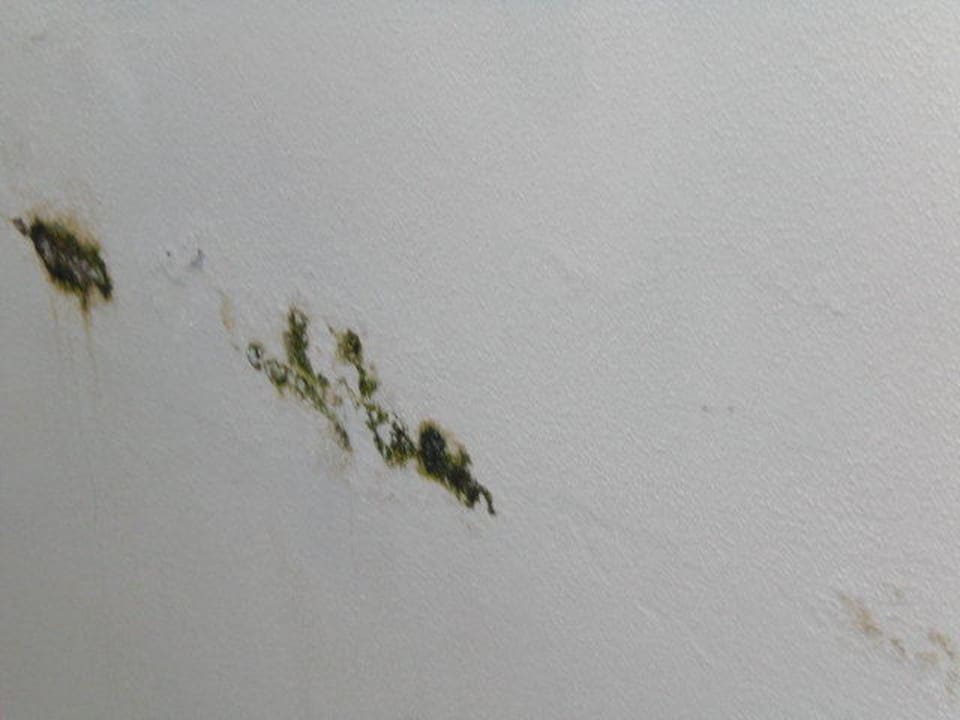 Schimmel an den Wänden Hilton Malta