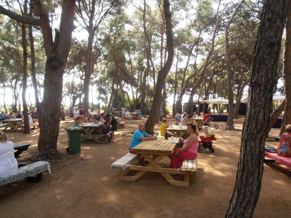 Barbeque im Park Xanadu Resort Hotel