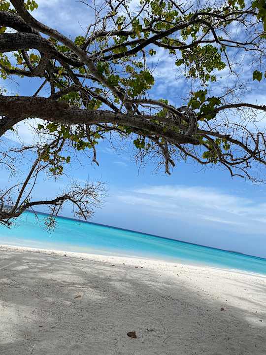 Strand Summer Island Maldives