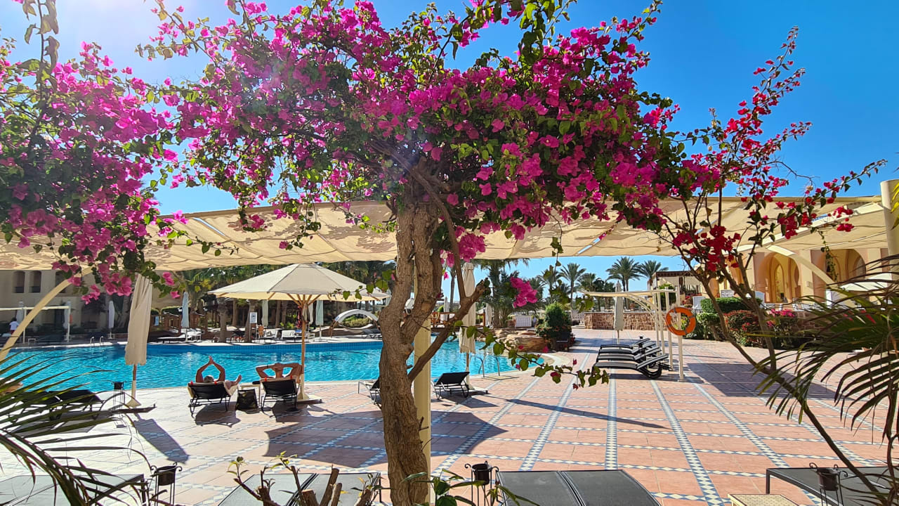 Gartenanlage Steigenberger Coraya Beach - Adults only