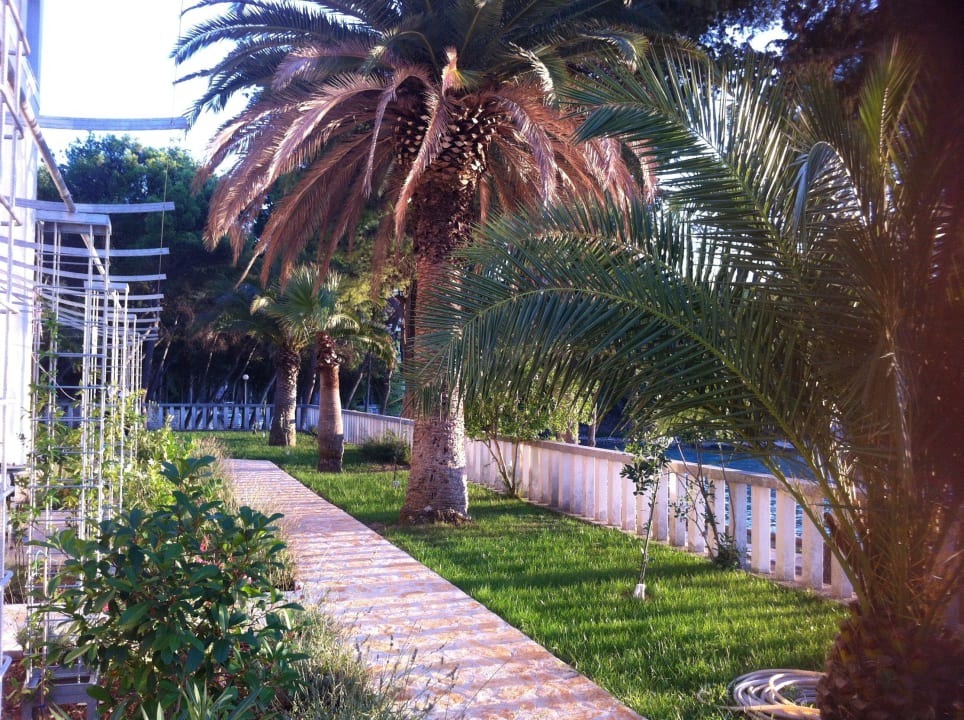 Vor dem Zimmer Aminess Vival Casa Velaris