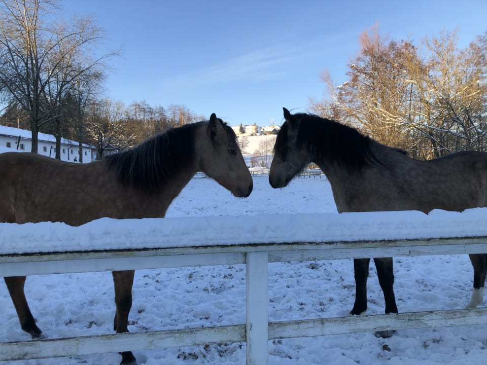 Sport & Freizeit Aldiana Club Ampflwang