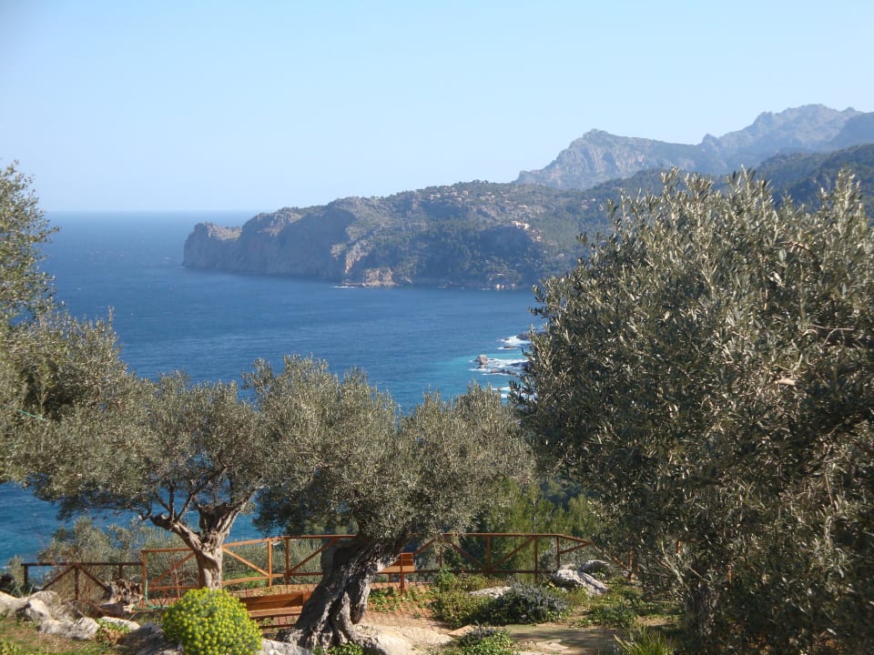 Blick vom Pool auf die Bucht vor Deya Hotel Sa Pedrissa