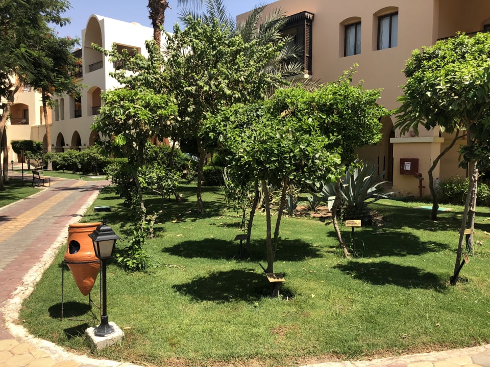 Gartenanlage Jaz Makadi Oasis Resort