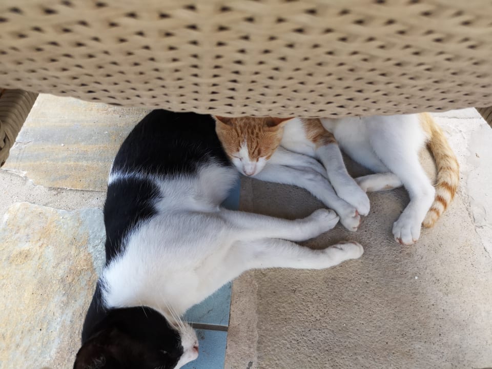 Sonstiges Creta Maris Resort