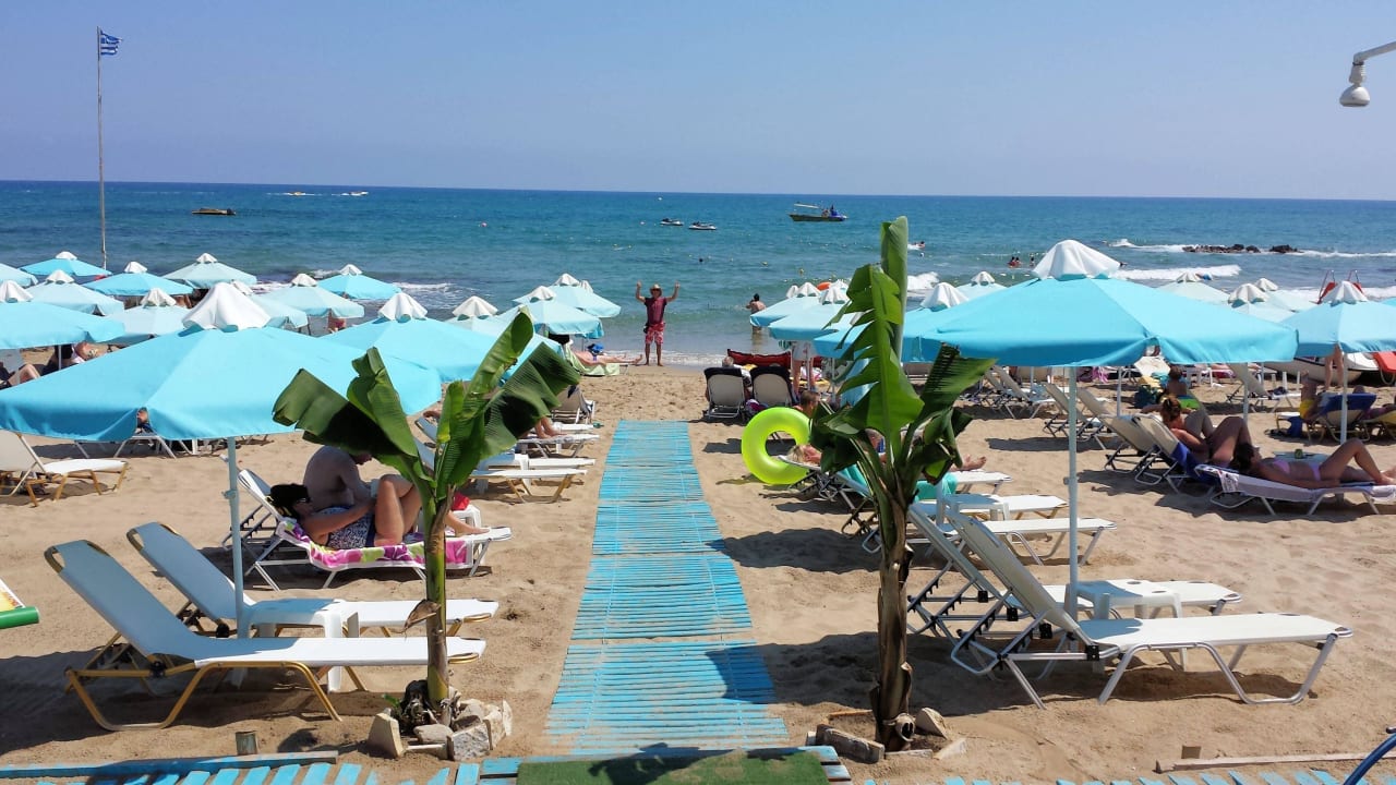 Strand ein Stück nach links Cactus Royal