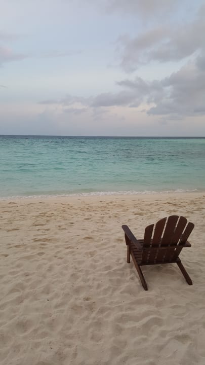 Strand Summer Island Maldives