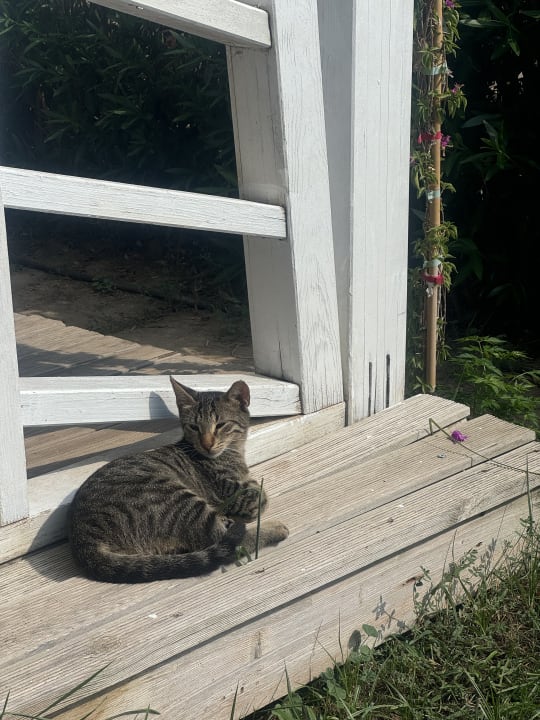 Gartenanlage Sherwood Exclusive Lara