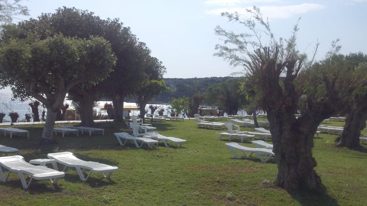 Gartenanlage Irene Palace Beach Resort Club alltoura