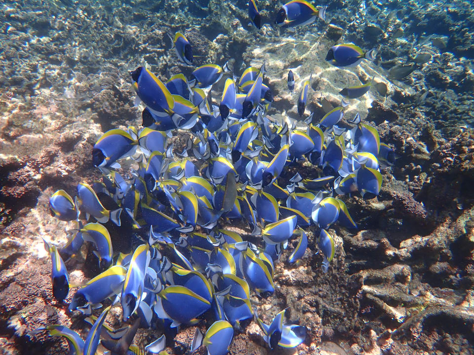 Sport & Freizeit Mirihi Island Resort