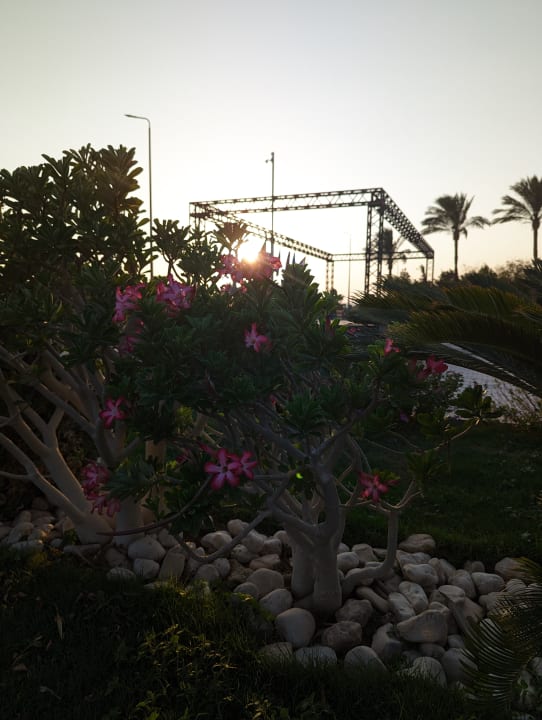Gartenanlage Golden Beach Resort