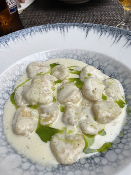 Gastro Acanthus Cennet Barut Collection