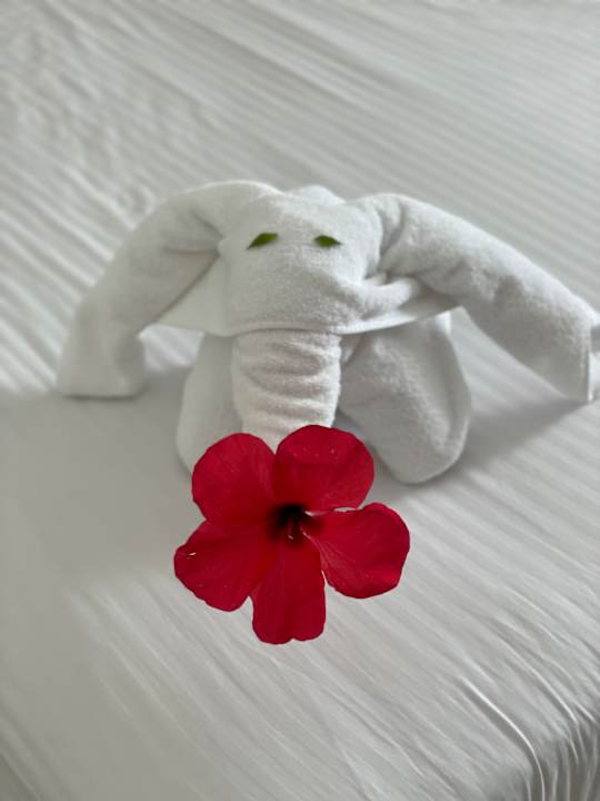 Zimmer Lazuli Hotel Marsa Alam