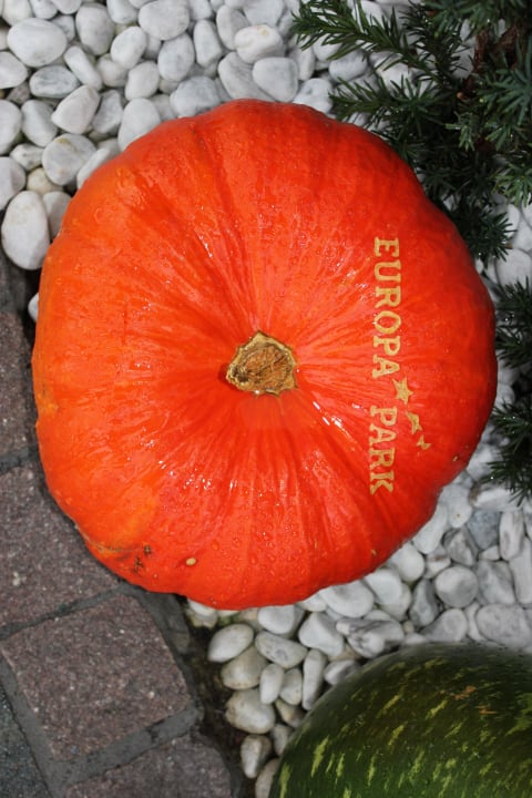 Überall schöne Kürbisse Hotel Bell Rock Europa-Park